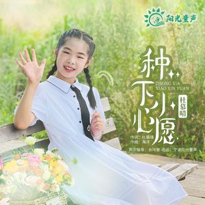种下小心愿