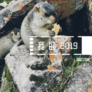 我这一年（remake）