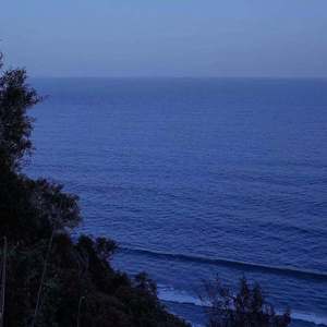 同花顺（cover：林倛玉）