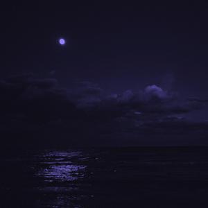 moonlight