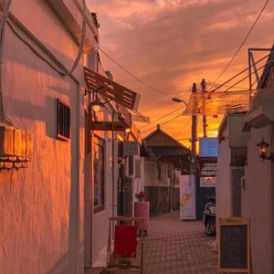 有风都不自由0.8x