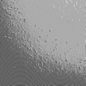 II (feat. Garden of Crinoids)