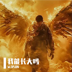 十二月的雪还没来