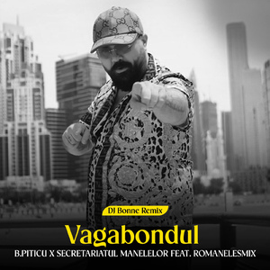 Vagabondul (Dj Bonne Remix)
