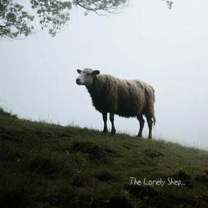 The Lonely Shepherd