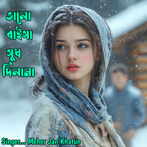 VALO Baisha Shukh Dilana