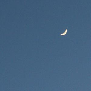 夏天的风（原唱:温岚）