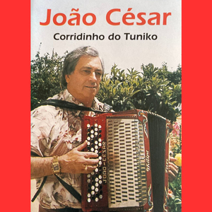 Não Mexas na Passarinha