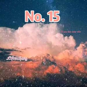 No.15
