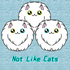 Not Like Cats