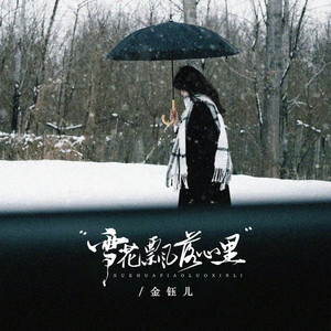 雪花飘落心里 (DJBanan版)