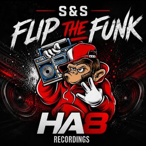 Flip the Funk