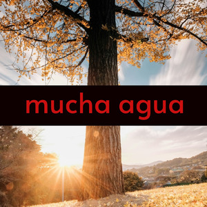 mucha agua