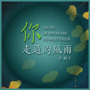 那是你走过的风雨