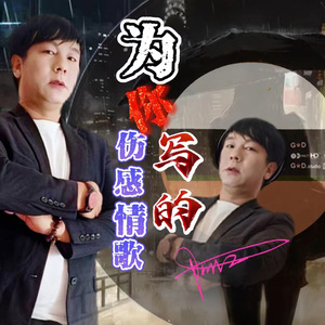 为你写的伤感情歌