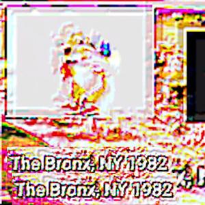 The Bronx (1982) ate my cat