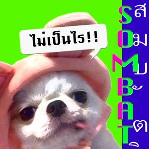 All The Dreams (ไม่เป็นไร)