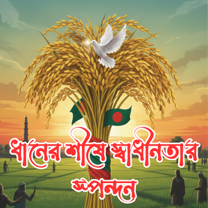 ধানের শীষে স্বাধীনতার স্পন্দন