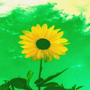 【Free】“葵”Afro Beat