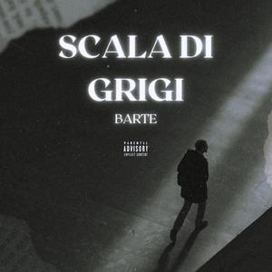 SCALA DI GRIGI