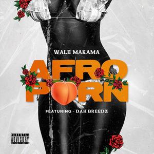 AFRO PORN (feat. Dahbreedz)