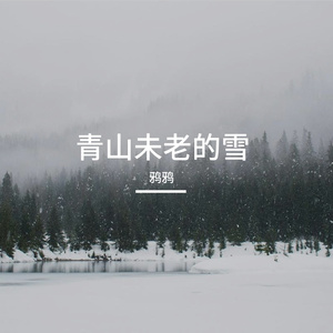 青山未老的雪