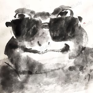 春节联欢会。