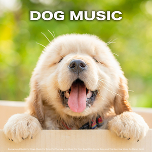 Dog Music