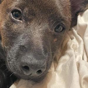 Get wit it (Remix 4)