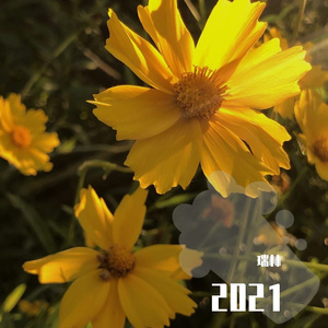 在每个想你的夜里（翻自 李健）