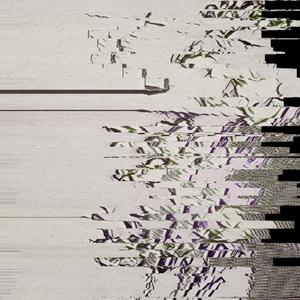 n e w y o r k s t r o l l