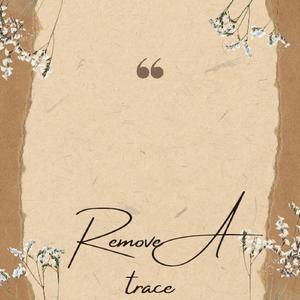Remove a Trace
