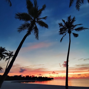 忧愁（EIectro Mix）