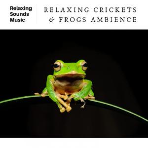 Frog Sounds