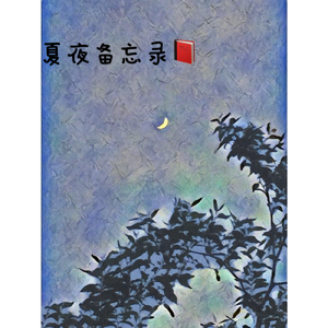 夏夜备忘录