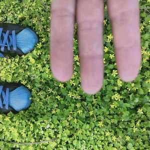 这一生关于你的风景--黑袍下的铁骑