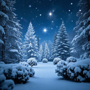 Silent Christmas Night – Silent Night: Gentle Snow