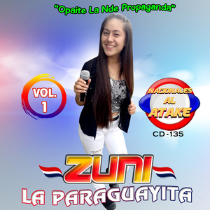 Telefono Kausa Jajepilla