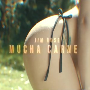 Mucha Carne Poco Gato