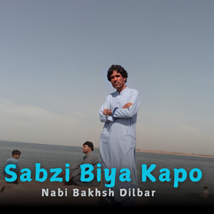 Sabze Jani