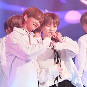 Flower【李灿生贺中文填词|暗黑向】（翻自 SEVENTEEN）