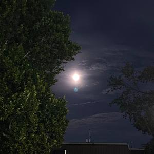 Make It Home (feat. FRANCISCO)