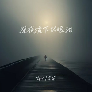 深夜流下的眼泪 (伴奏)