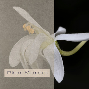 Pkar Marom