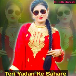 Meri Majboori Dilsad