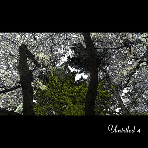 Untitled 4