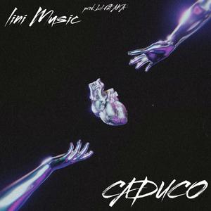 LINIMUSIC CADUCO