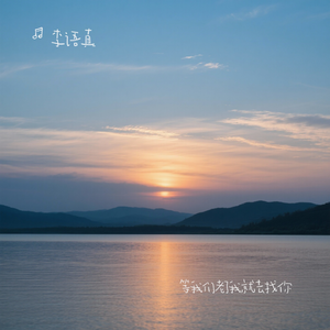 等我们老了我就去找你