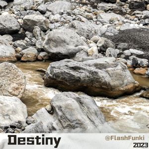 [FREE]"Destiny" x Gunna Type Beat