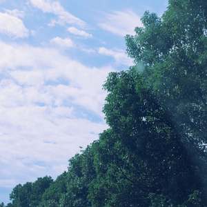 黄昏总是浪漫的 (铃铛曲)